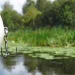 mejores tiendas pesca online